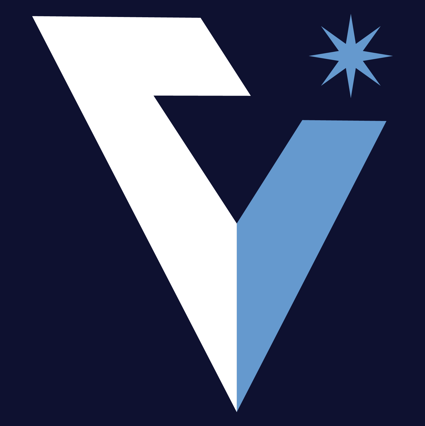 Veloscint Flow logo